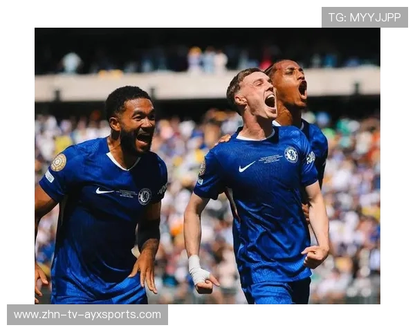 切尔西引援策略获好评，未来可持续发展